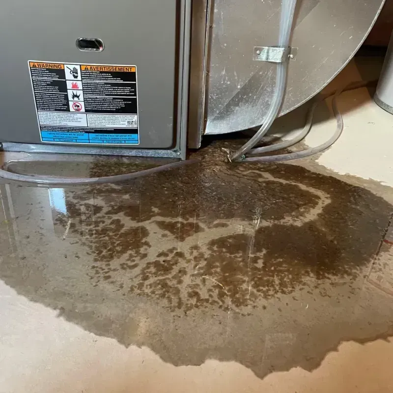 Appliance Leak Cleanup in Crawford County, KS